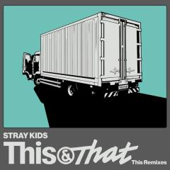 Stray Kids「THIS & THAT」