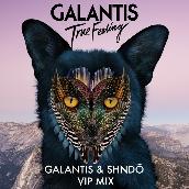 True Feeling (Galantis & shndo VIP Mix)