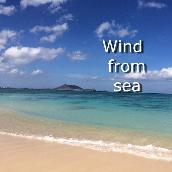 Wind from sea