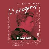 Monogamy (Le Boeuf Remix)