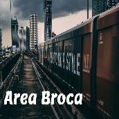 Area Broca