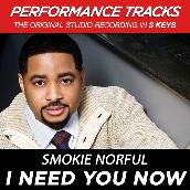 I Need You Now (Performance Tracks)