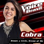 Dream A Little Dream Of Me (The Voice Brasil 2016)