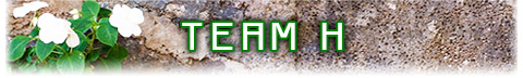 TEAM H