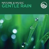 Nature & Music: Gentle Rain