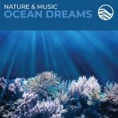 Nature & Music: Ocean Dreams
