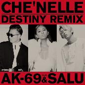 Destiny (Remix) feat. AK-69 & SALU