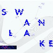 Swan Lake(Full)