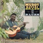 Muddy, Brass & The Blues
