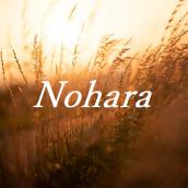 Nohara