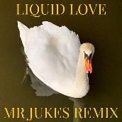 Liquid Love (Mr Jukes Remix)