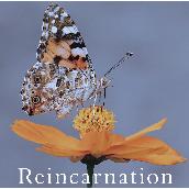 Reincarnation 【通常盤A】