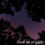 Look up at night