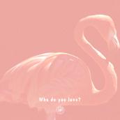 Who do you love? feat. Gloria Kim