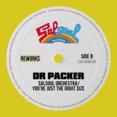 You're Just The Right Size (Dr Packer Rework)