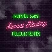 Sexual Healing (Felguk Remix)
