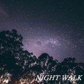 NIGHT WALK
